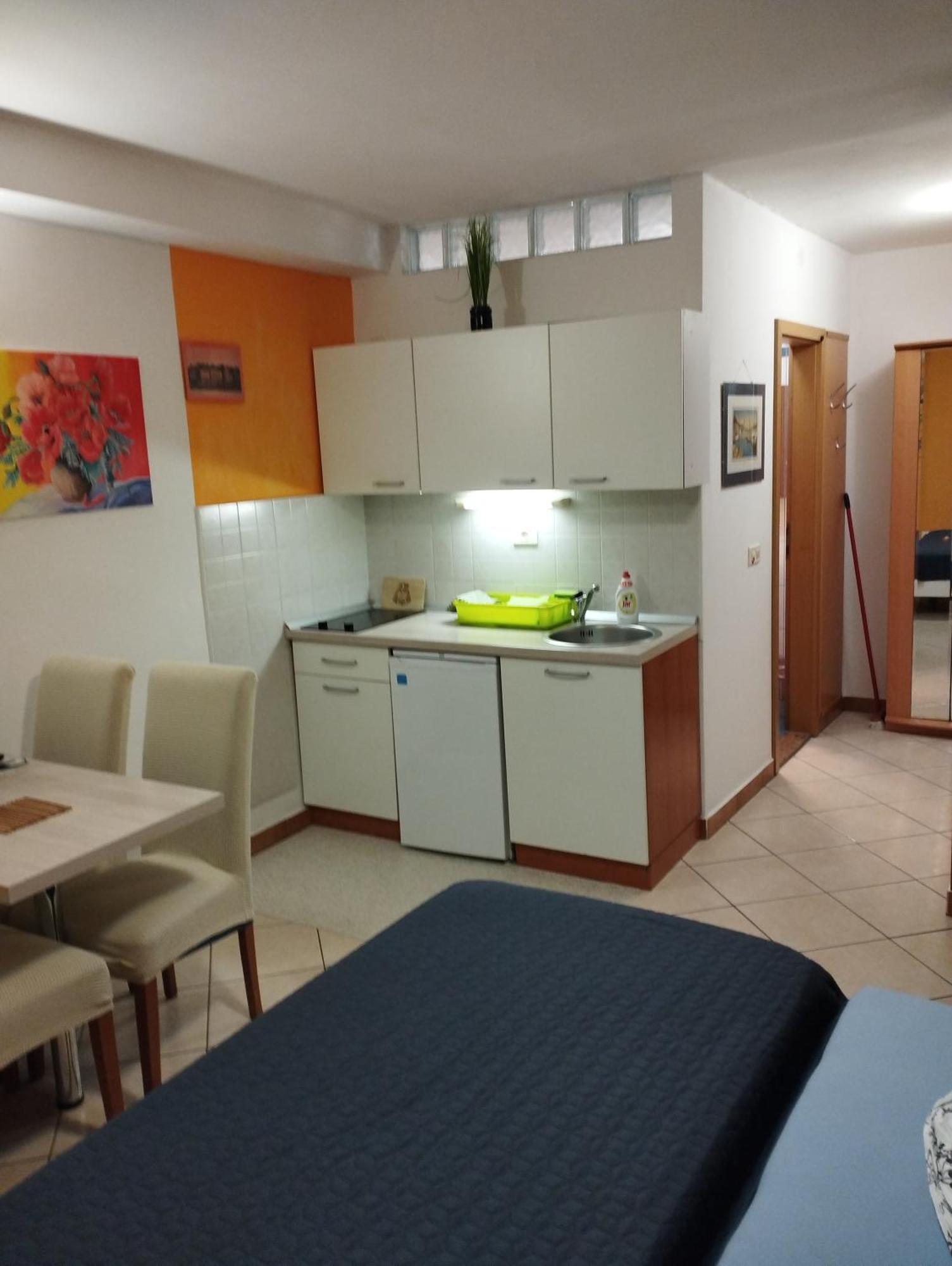 Appartamento Apartma Santina *
